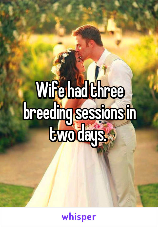 Wife Had Three Breeding Sessions In Two Days