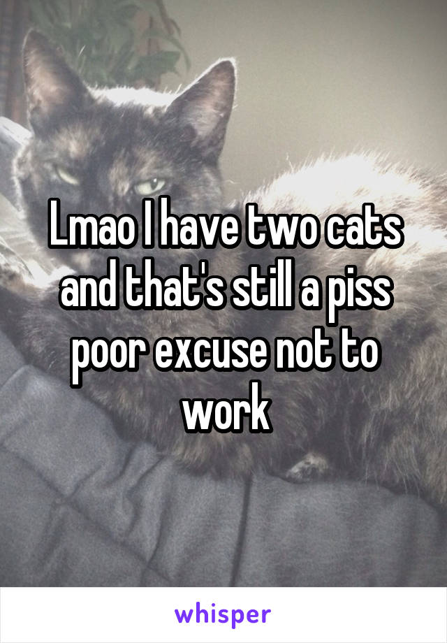 Lmao I have two cats and that's still a piss poor excuse not to work