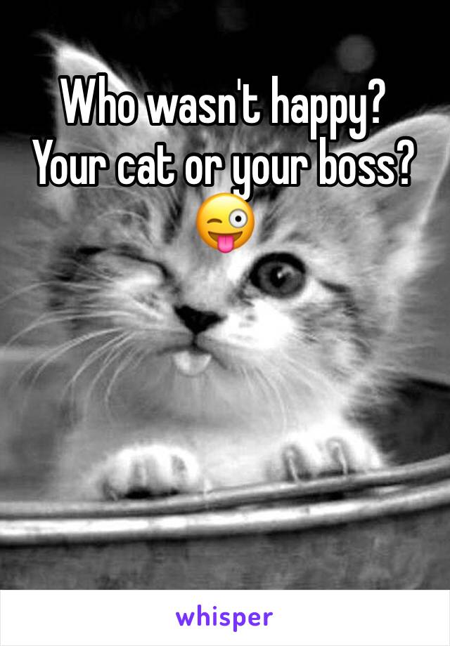 Who wasn't happy?
Your cat or your boss?
😜
