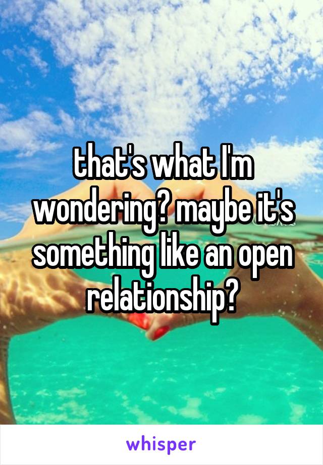 that's what I'm wondering? maybe it's something like an open relationship?