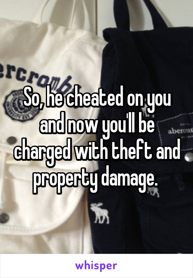 So, he cheated on you and now you'll be charged with theft and property damage. 