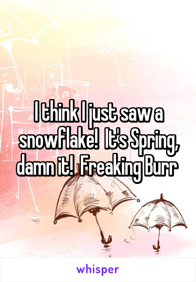 I think I just saw a snowflake!  It's Spring, damn it!  Freaking Burr 