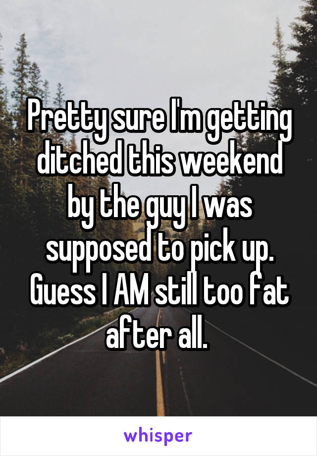 Pretty sure I'm getting ditched this weekend by the guy I was supposed to pick up. Guess I AM still too fat after all. 