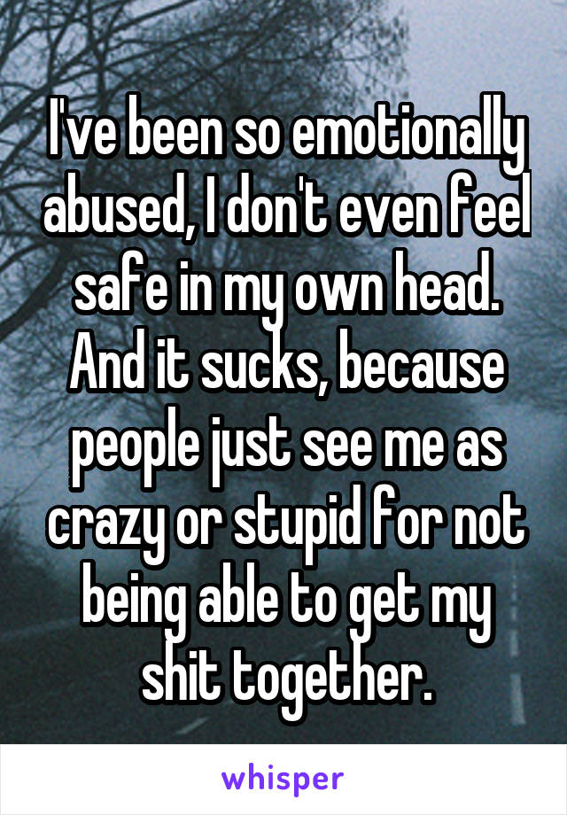 I've been so emotionally abused, I don't even feel safe in my own head. And it sucks, because people just see me as crazy or stupid for not being able to get my shit together.