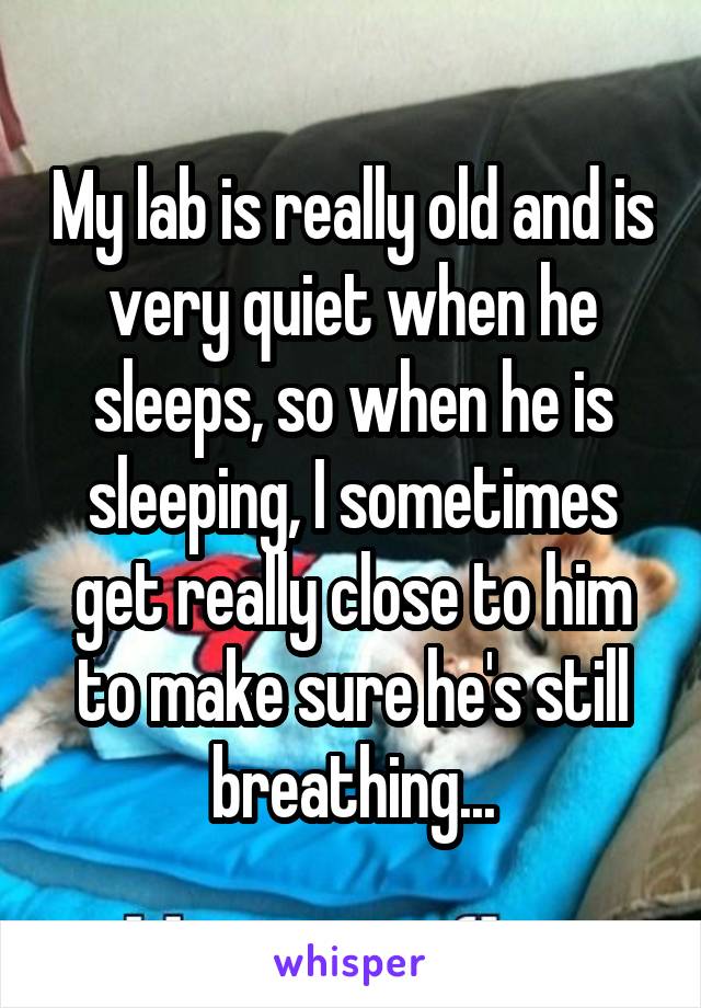 My lab is really old and is very quiet when he sleeps, so when he is sleeping, I sometimes get really close to him to make sure he's still breathing...