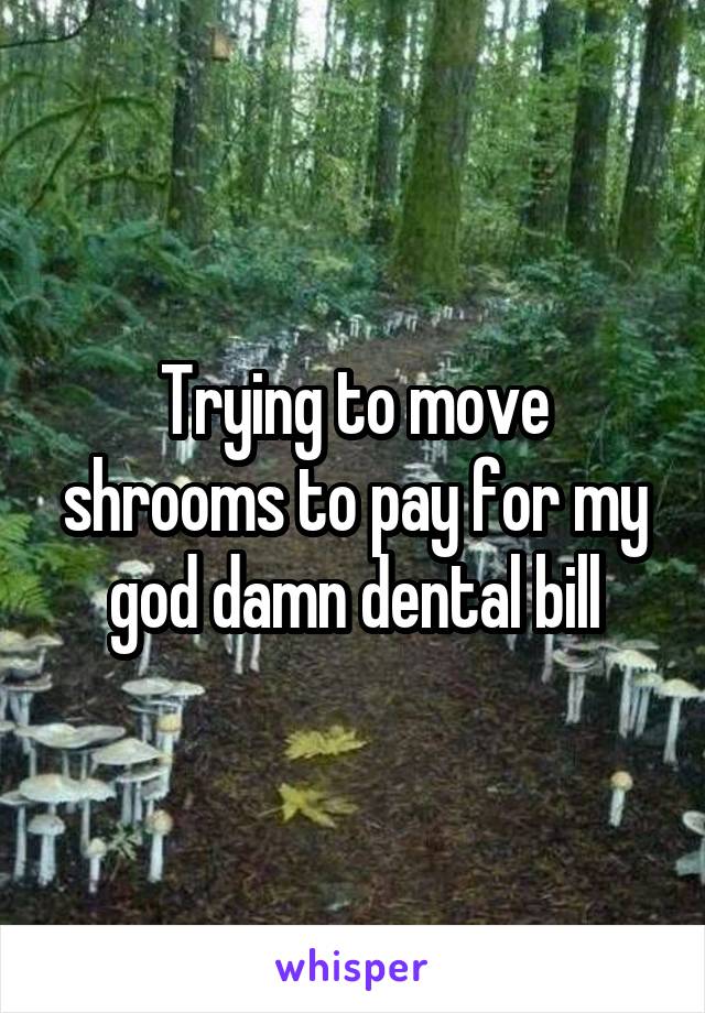 Trying to move shrooms to pay for my god damn dental bill