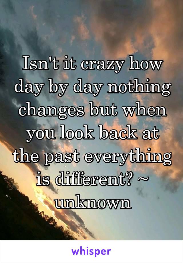 Isn't it crazy how day by day nothing changes but when you look back at the past everything is different? ~ unknown