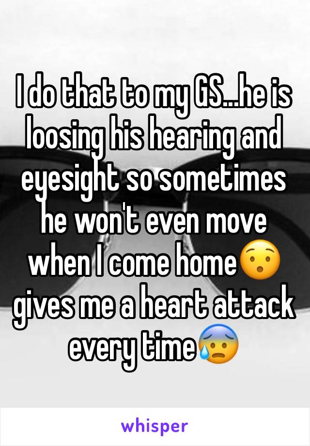 I do that to my GS...he is loosing his hearing and eyesight so sometimes he won't even move when I come home😯 gives me a heart attack every time😰