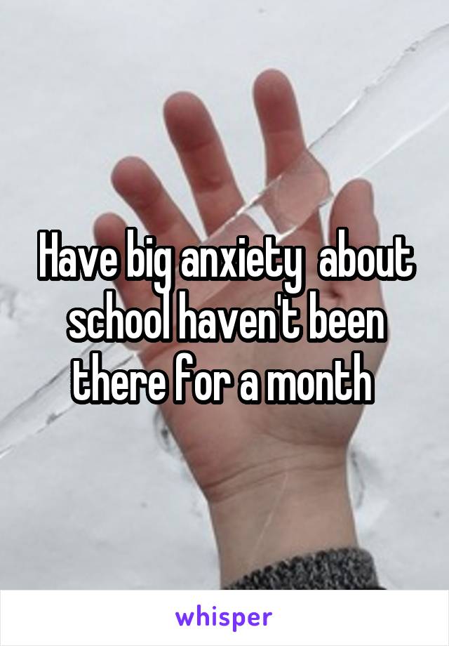 Have big anxiety  about school haven't been there for a month 