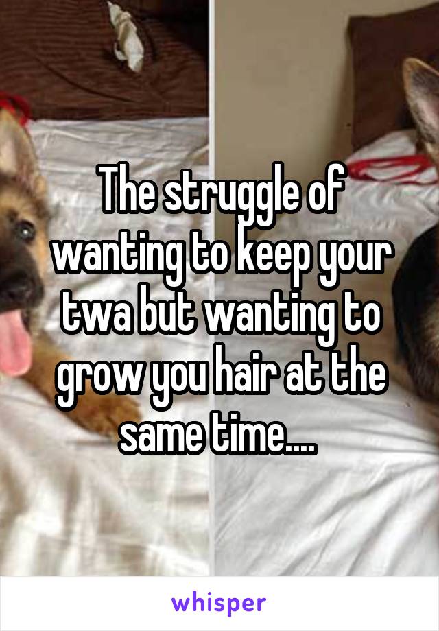 The struggle of wanting to keep your twa but wanting to grow you hair at the same time.... 