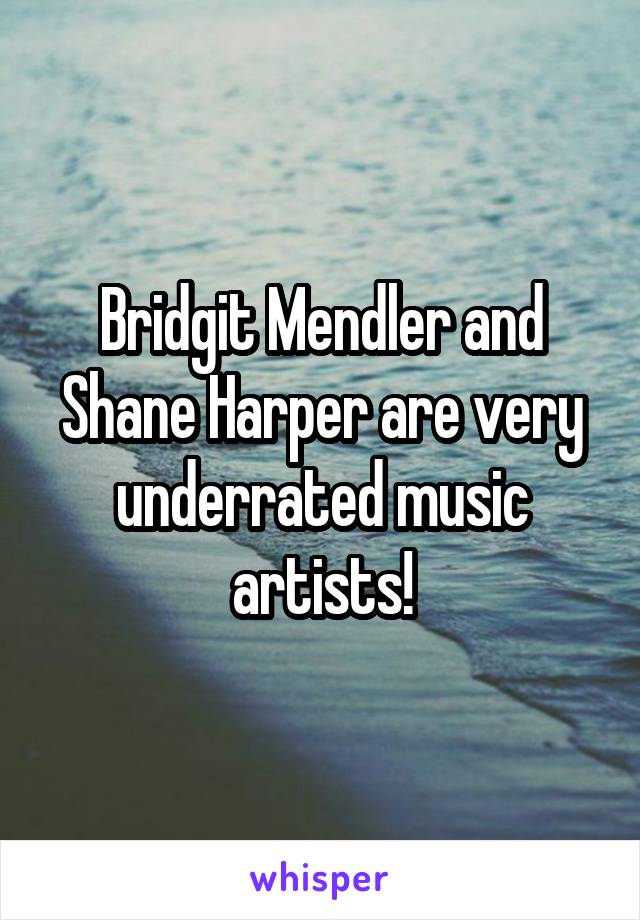 Bridgit Mendler and Shane Harper are very underrated music artists!