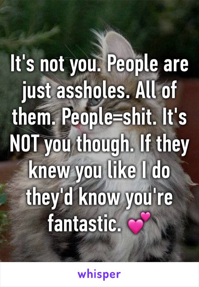 It's not you. People are just assholes. All of them. People=shit. It's NOT you though. If they knew you like I do they'd know you're fantastic. 💕