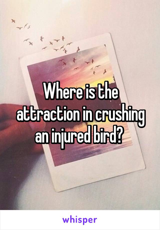 Where is the attraction in crushing an injured bird? 