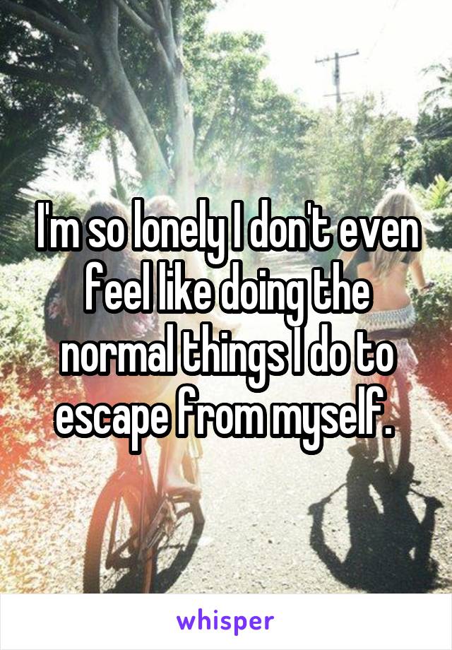 I'm so lonely I don't even feel like doing the normal things I do to escape from myself. 