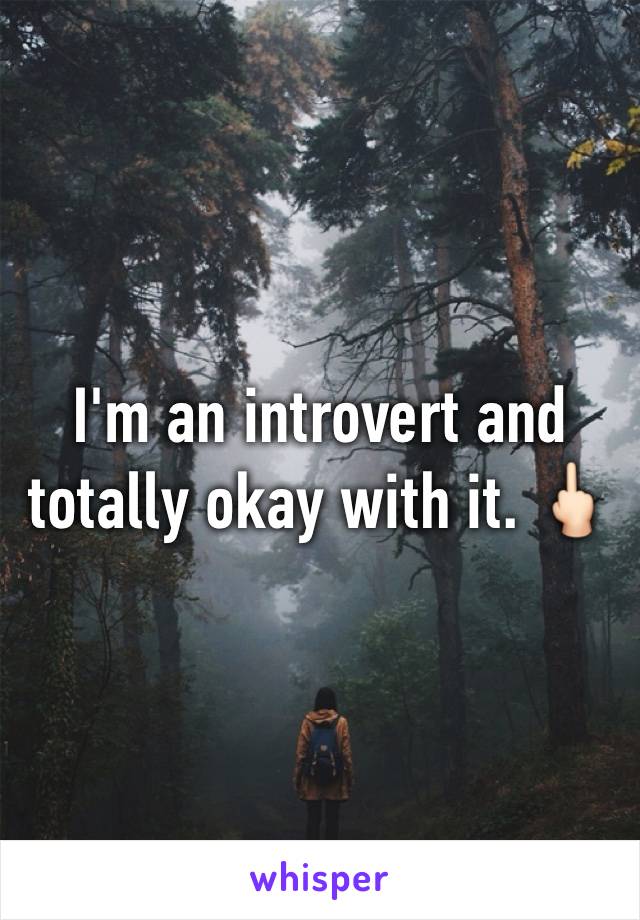 I'm an introvert and totally okay with it. 🖕🏻