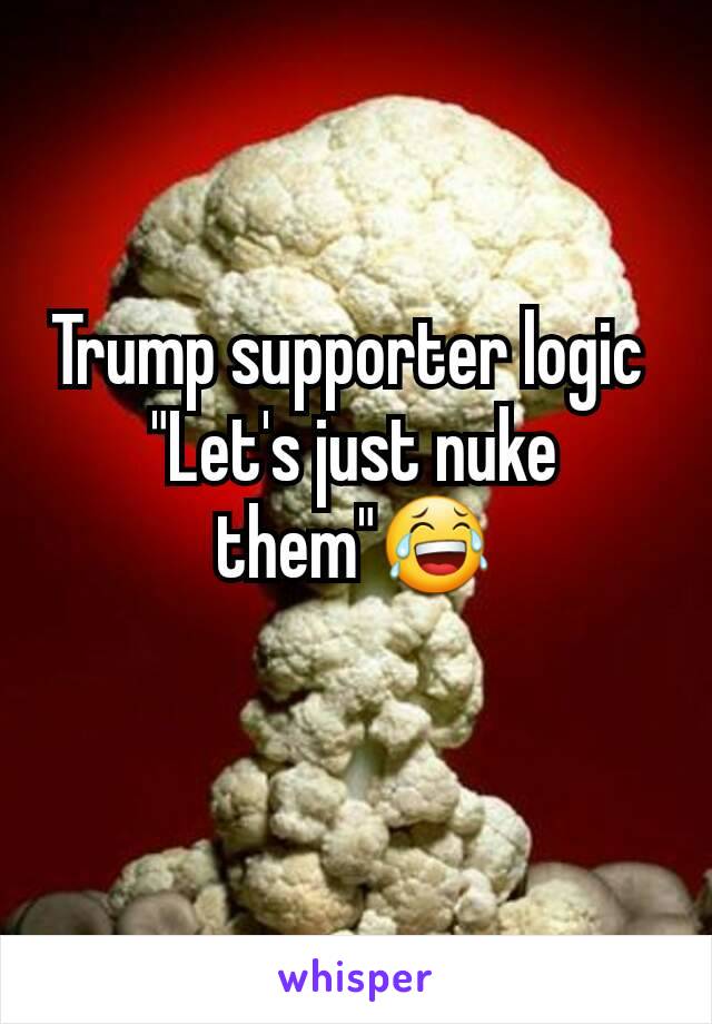 Trump supporter logic 
"Let's just nuke them"😂