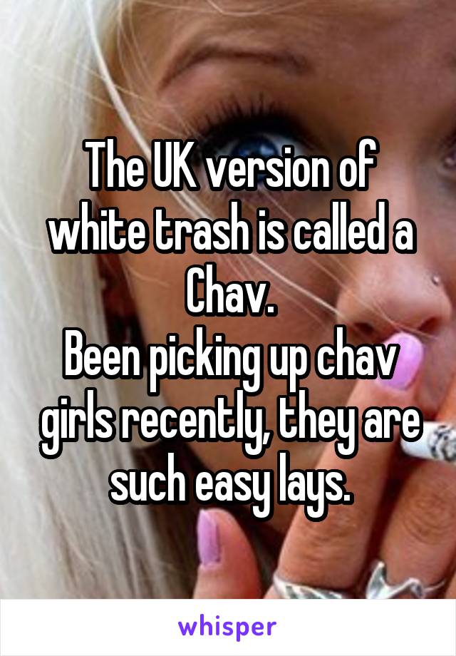 The UK version of white trash is called a Chav.
Been picking up chav girls recently, they are such easy lays.