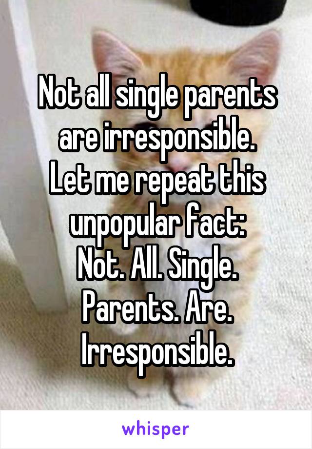 Not all single parents are irresponsible.
Let me repeat this unpopular fact:
Not. All. Single. Parents. Are. Irresponsible.