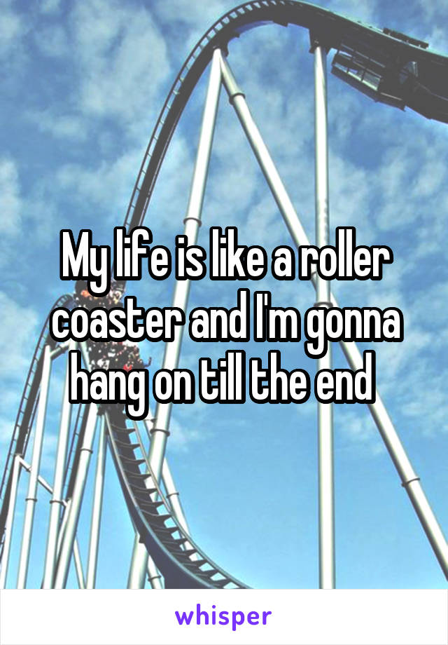 My life is like a roller coaster and I'm gonna hang on till the end 