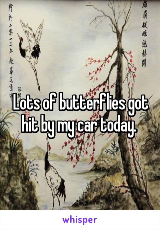 Lots of butterflies got hit by my car today. 