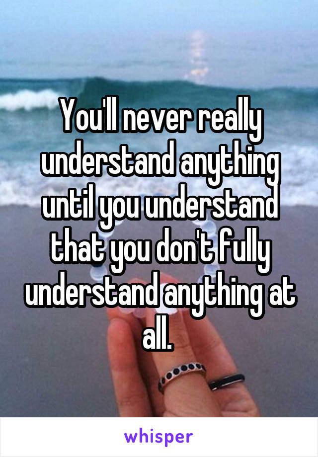 You'll never really understand anything until you understand that you don't fully understand anything at all. 