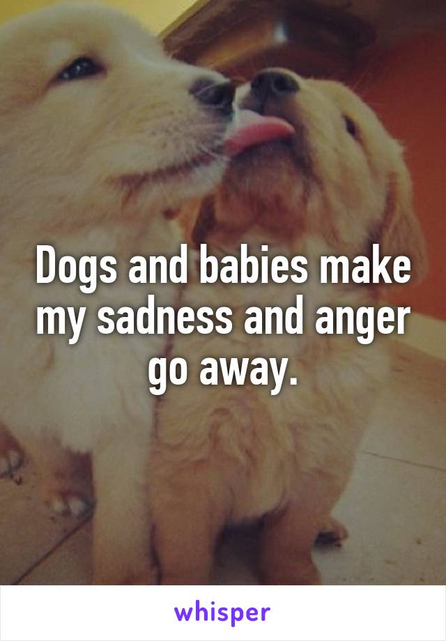 Dogs and babies make my sadness and anger go away.