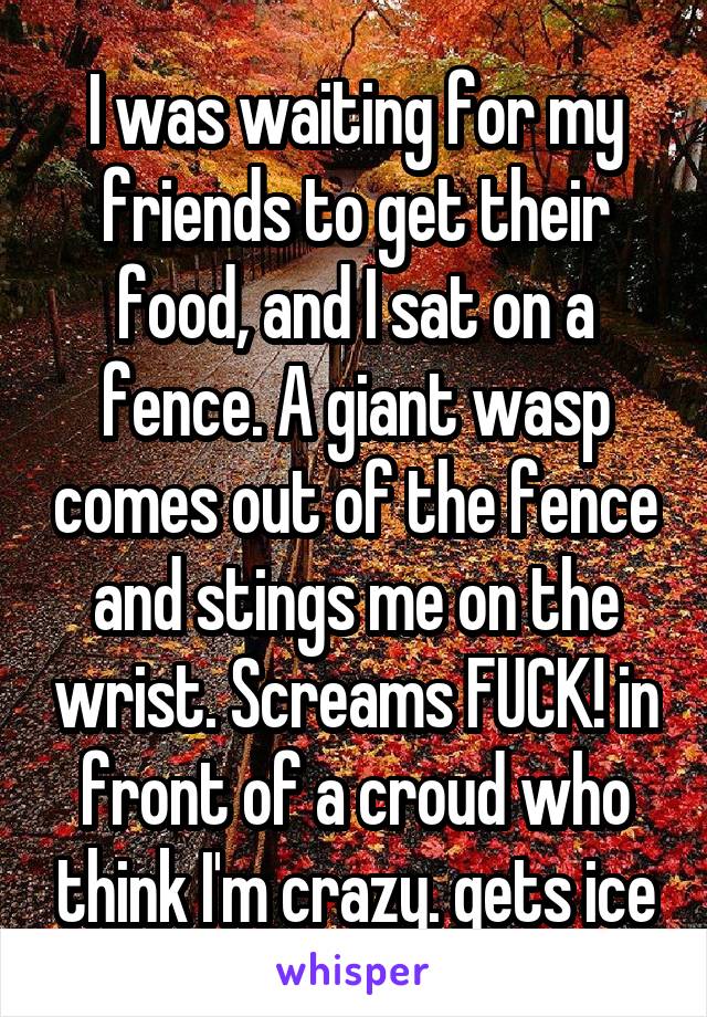 I was waiting for my friends to get their food, and I sat on a fence. A giant wasp comes out of the fence and stings me on the wrist. Screams FUCK! in front of a croud who think I'm crazy. gets ice