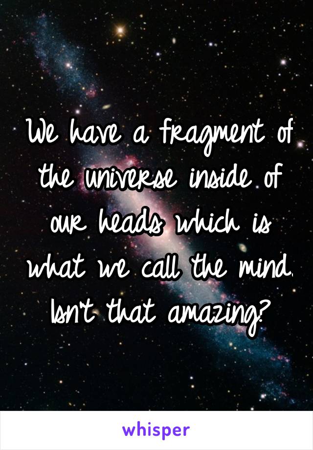 We have a fragment of the universe inside of our heads which is what we call the mind. Isn't that amazing?