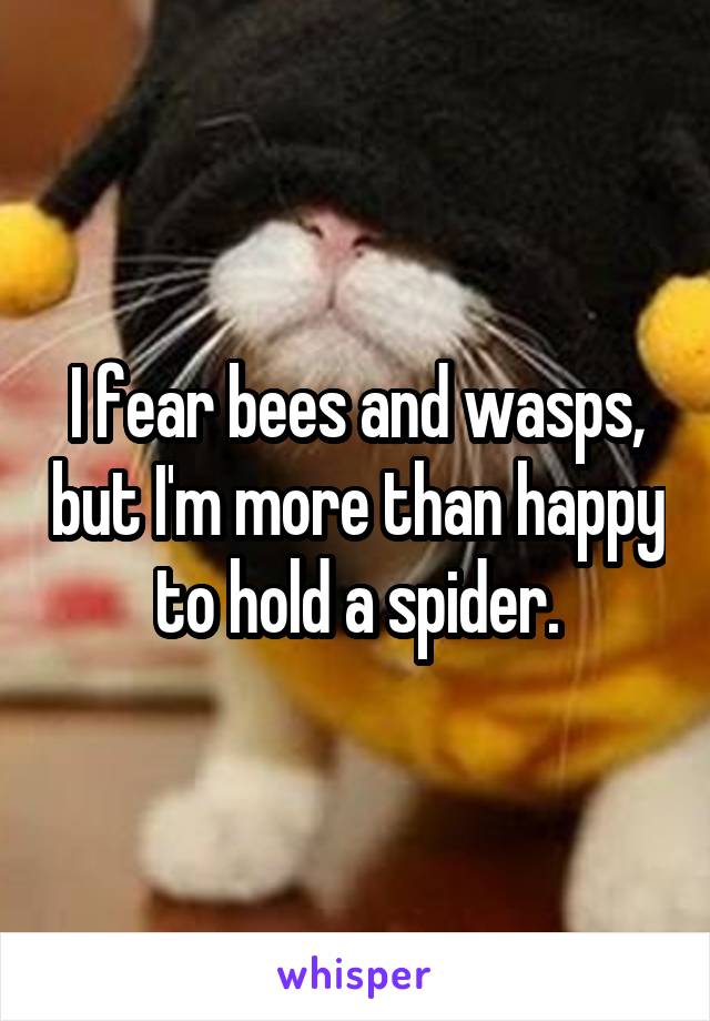 I fear bees and wasps, but I'm more than happy to hold a spider.