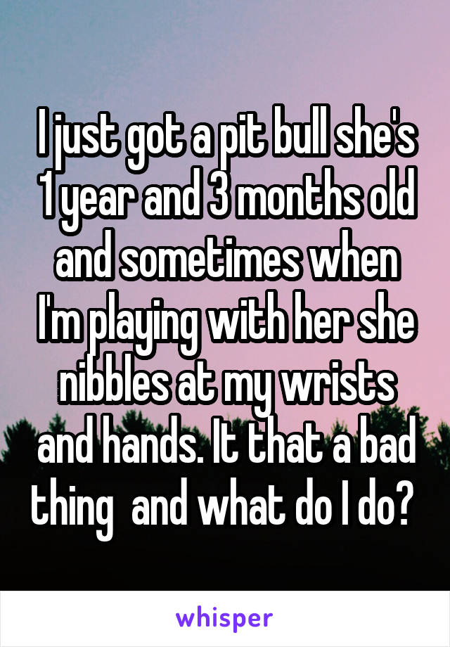 I just got a pit bull she's 1 year and 3 months old and sometimes when I'm playing with her she nibbles at my wrists and hands. It that a bad thing  and what do I do? 