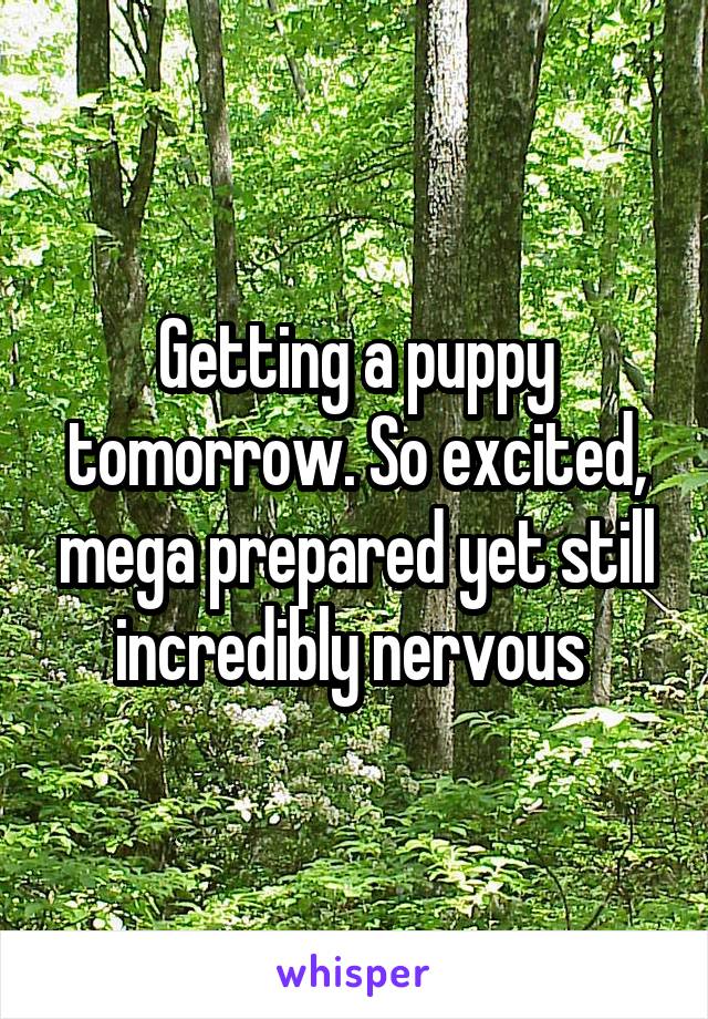 Getting a puppy tomorrow. So excited, mega prepared yet still incredibly nervous 