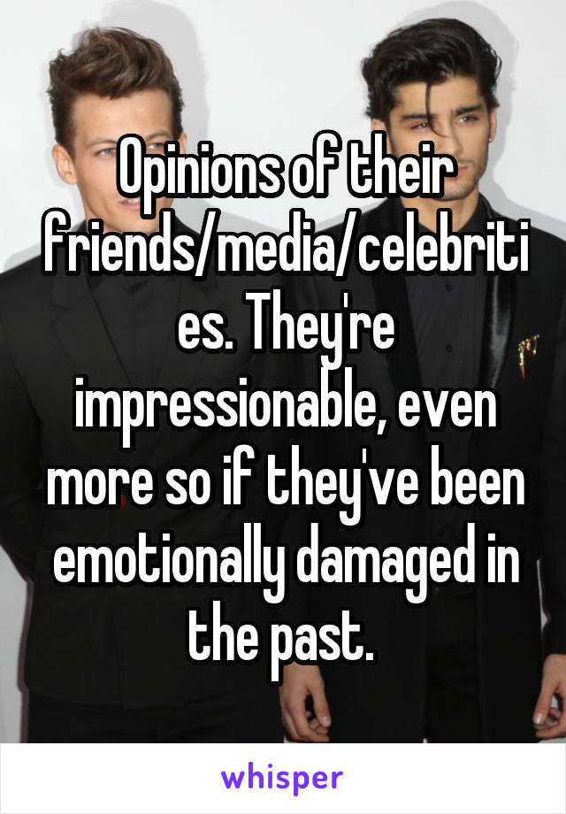 Opinions of their friends/media/celebrities. They're impressionable, even more so if they've been emotionally damaged in the past. 