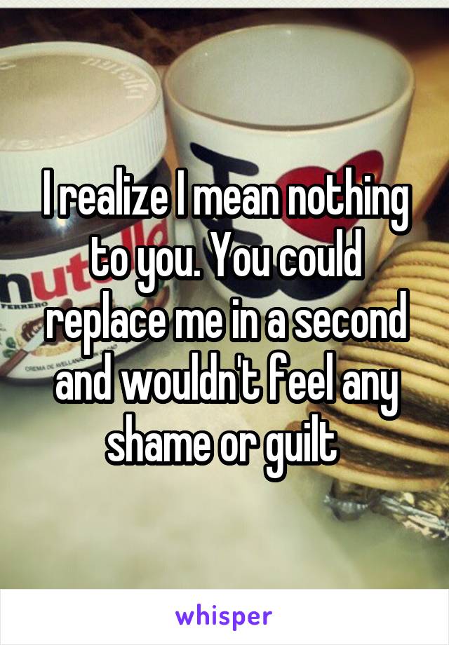 I realize I mean nothing to you. You could replace me in a second and wouldn't feel any shame or guilt 