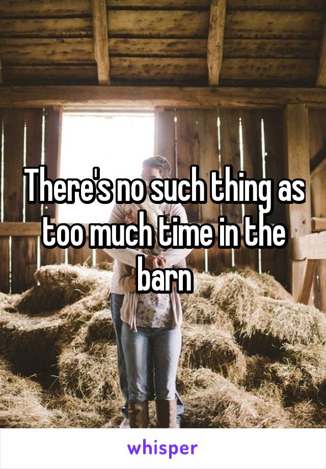 There's no such thing as too much time in the barn