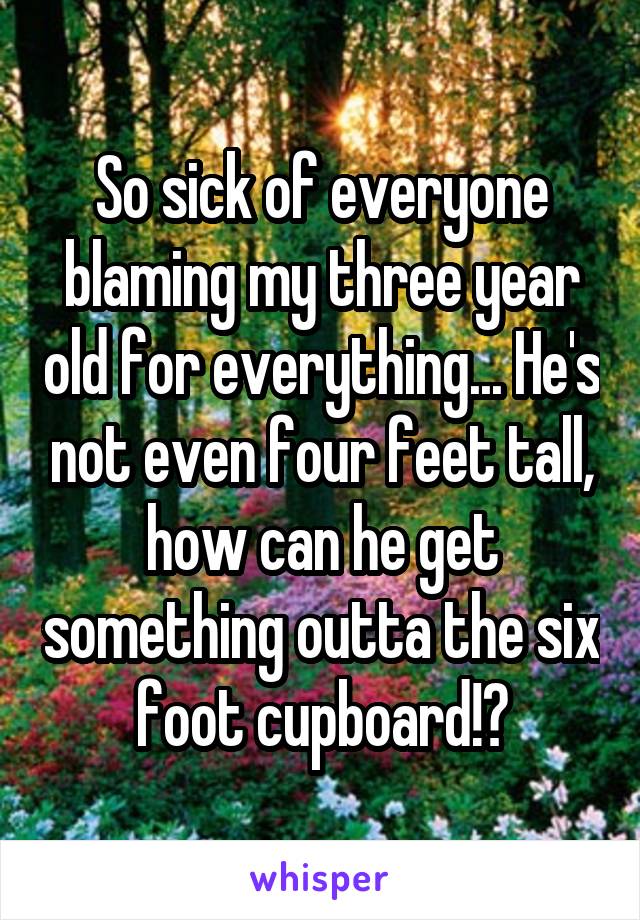 So sick of everyone blaming my three year old for everything... He's not even four feet tall, how can he get something outta the six foot cupboard!?