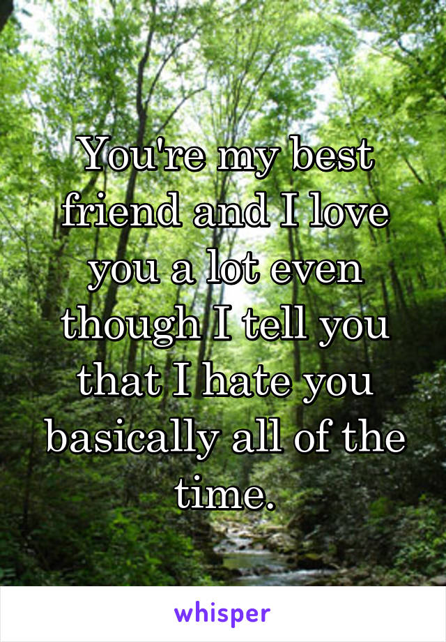 You're my best friend and I love you a lot even though I tell you that I hate you basically all of the time.