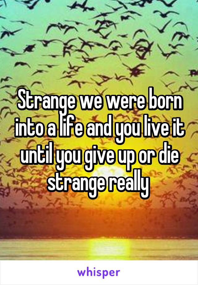 Strange we were born into a life and you live it until you give up or die strange really 