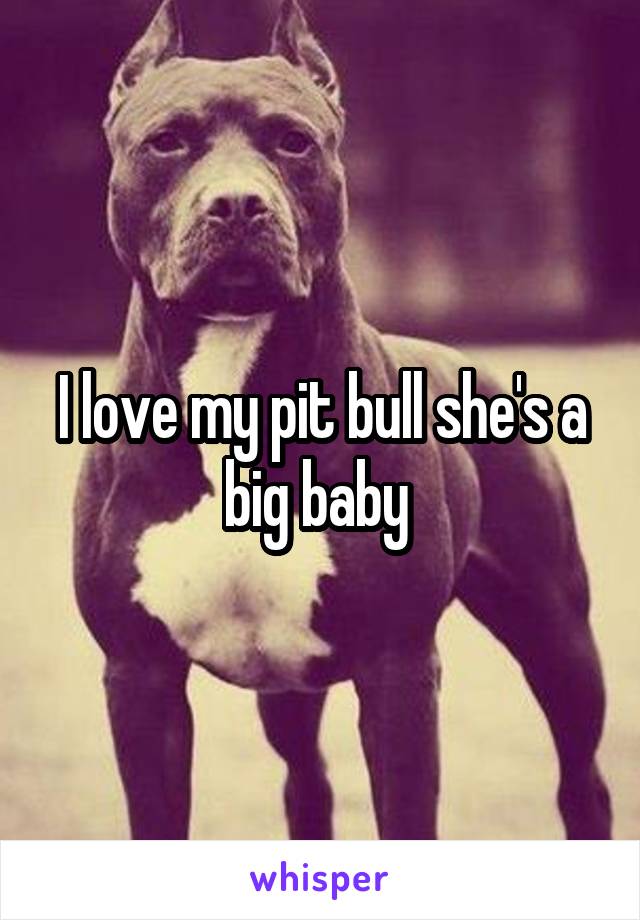 I love my pit bull she's a big baby 