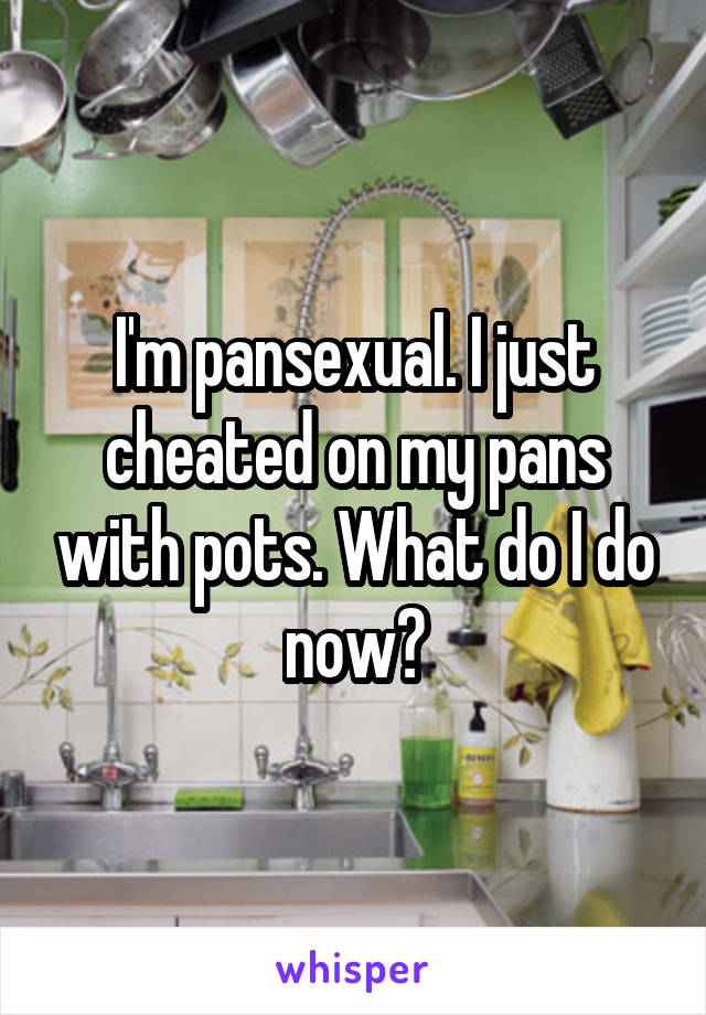 I'm pansexual. I just cheated on my pans with pots. What do I do now?