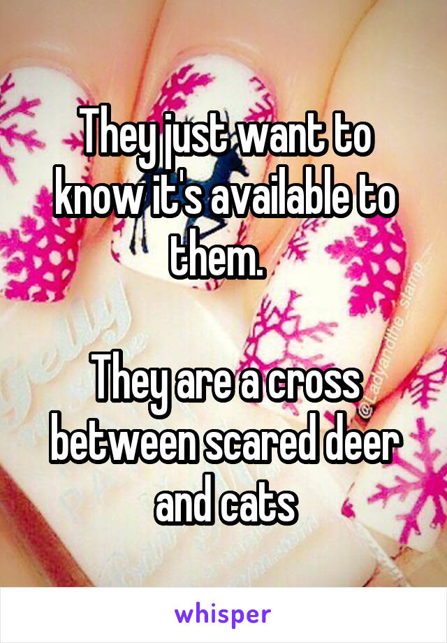  They just want to know it's available to them.  

They are a cross between scared deer and cats