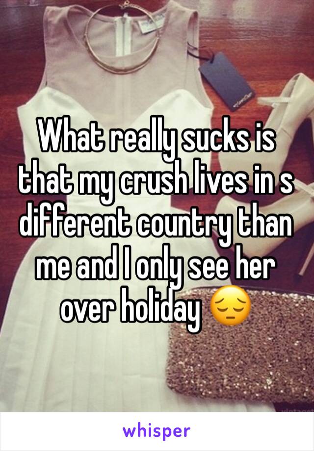 What really sucks is that my crush lives in s different country than me and I only see her over holiday 😔