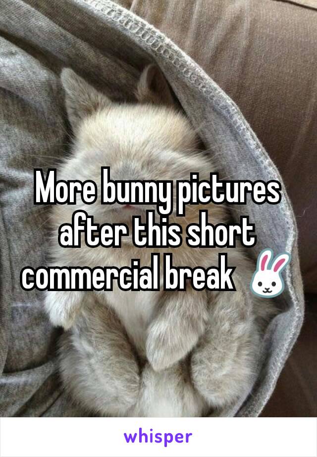 More bunny pictures after this short commercial break 🐰