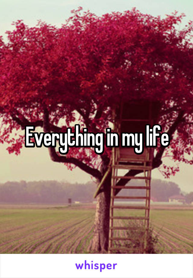 Everything in my life