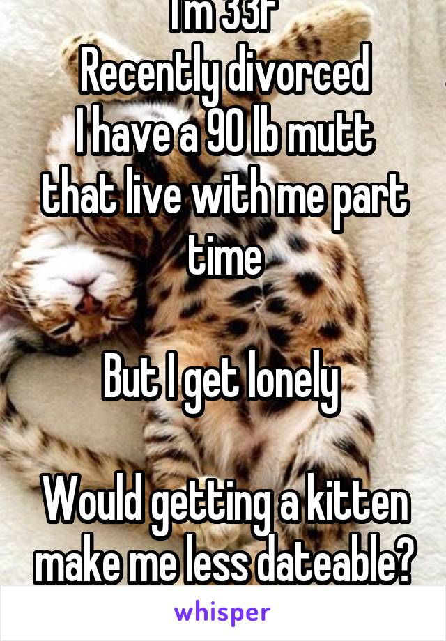 I'm 33f
Recently divorced
I have a 90 lb mutt that live with me part time

But I get lonely 

Would getting a kitten make me less dateable?
