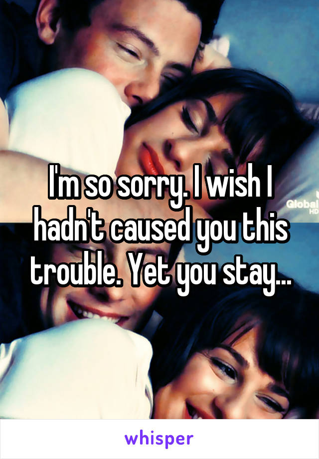 I'm so sorry. I wish I hadn't caused you this trouble. Yet you stay...