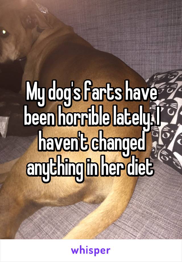 My dog's farts have been horrible lately. I haven't changed anything in her diet 