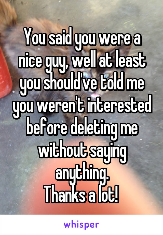 You said you were a nice guy, well at least you should've told me you weren't interested before deleting me without saying anything.
Thanks a lot! 