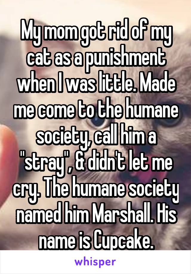 My mom got rid of my cat as a punishment when I was little. Made me come to the humane society, call him a "stray", & didn't let me cry. The humane society named him Marshall. His name is Cupcake.