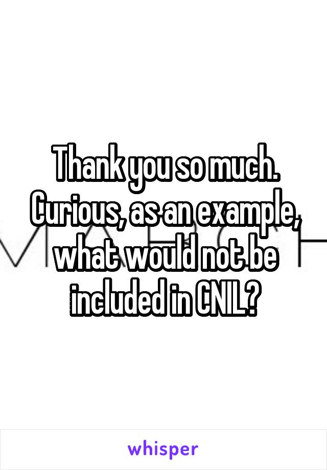 Thank you so much. Curious, as an example, what would not be included in CNIL?