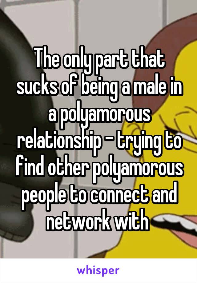 The only part that sucks of being a male in a polyamorous relationship - trying to find other polyamorous people to connect and network with 